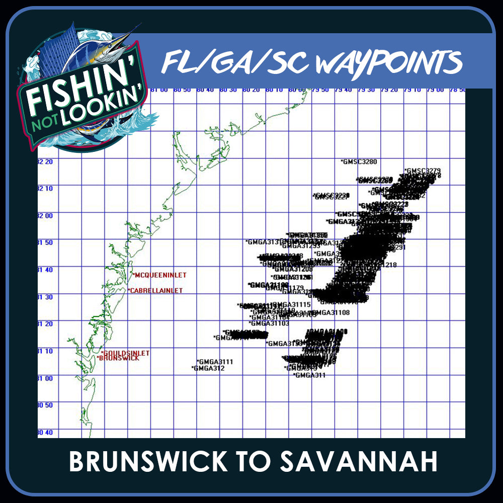 Brunswick GA to Savannah GA