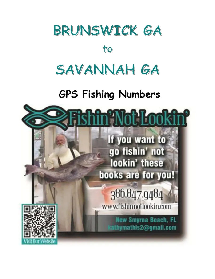 Brunswick GA to Savannah GA