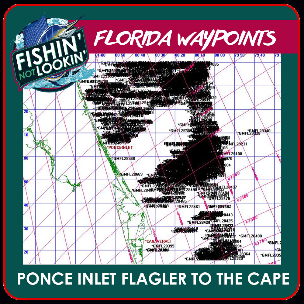 Ponce Inlet to The Cape