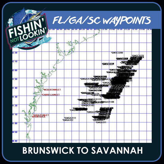Brunswick GA to Savannah GA