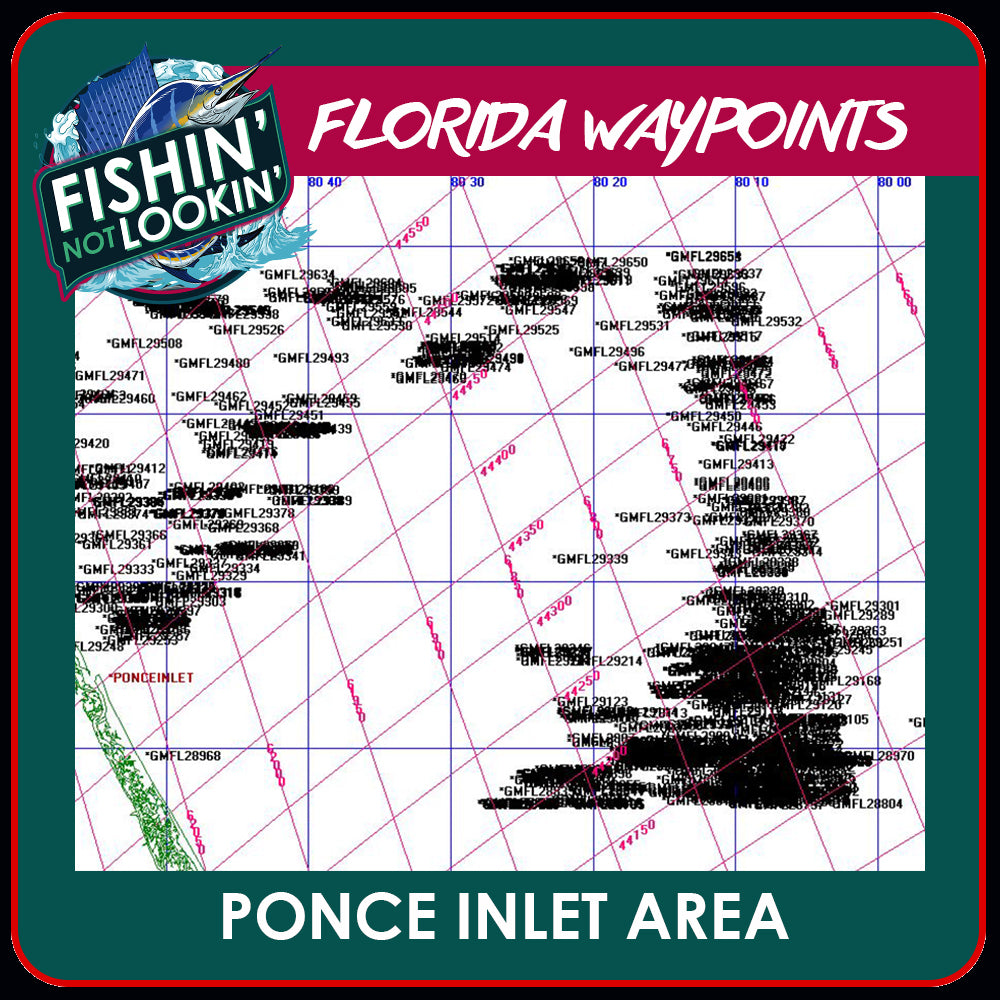 Ponce Inlet Area Book