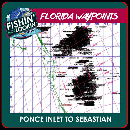Ponce Inlet to Sebastian