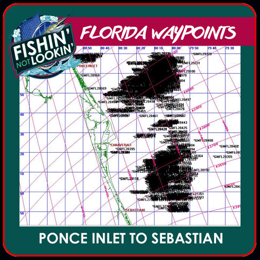 Ponce Inlet to Sebastian