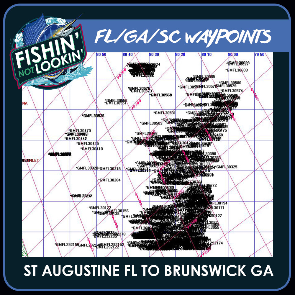 St Augustine FL to Brunswick GA