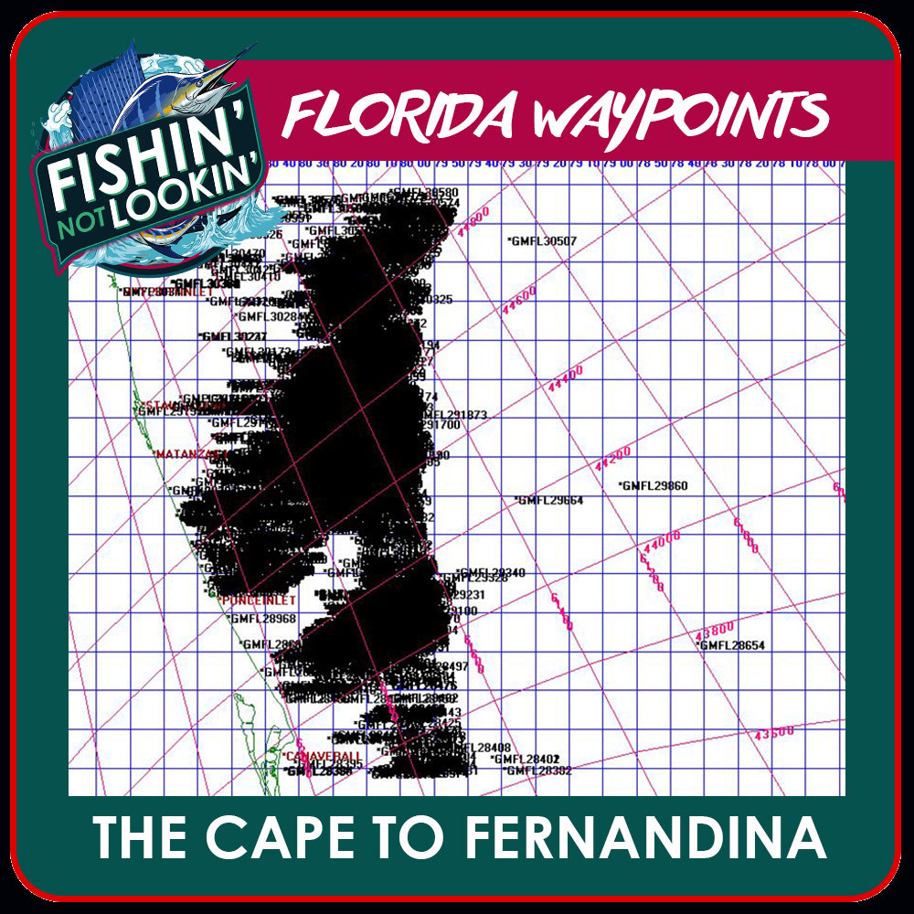 The Cape to Fernandina
