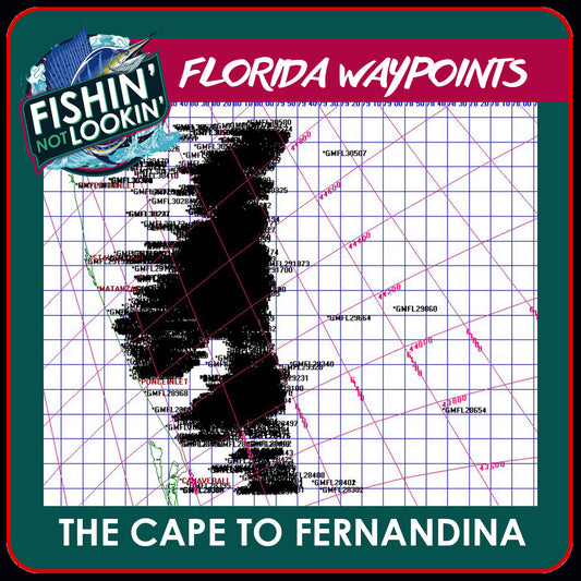 The Cape to Fernandina